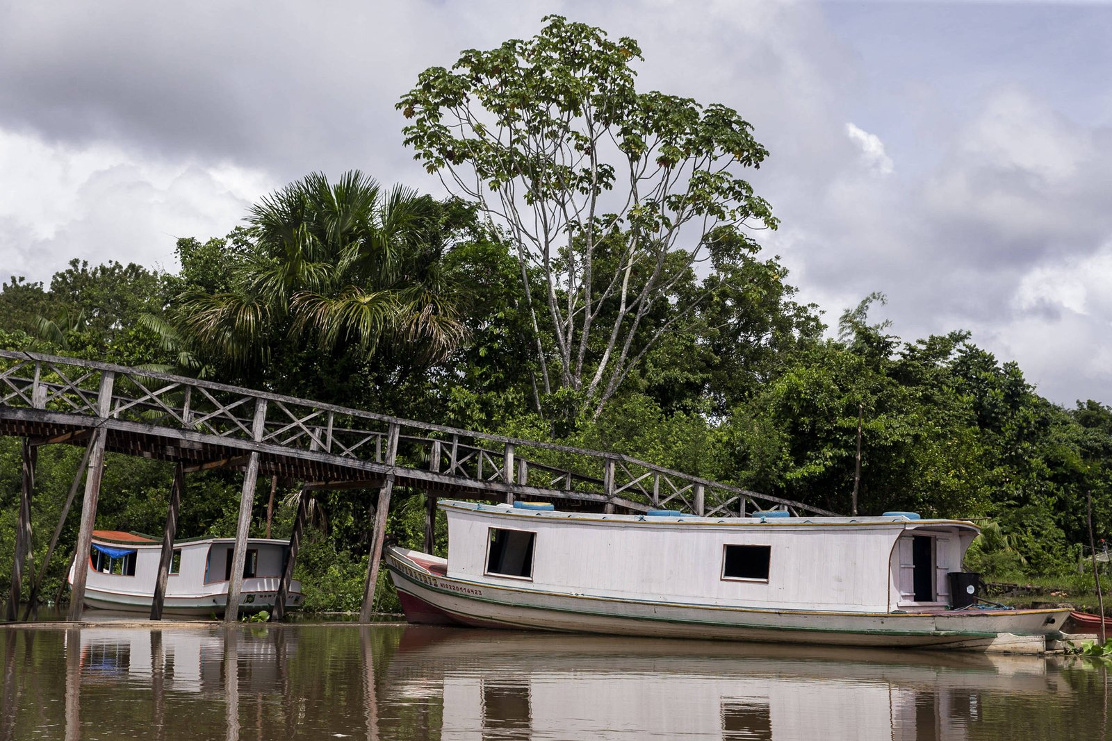 Tragédia do escalpelamento persiste e desafia comunidades ribeirinhas na Amazônia - Imagem do artigo