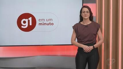 Transição Climática em SP: Setembro terá Predomínio de Calor Intenso e Umidade do Ar Baixa - Imagem do artigo original