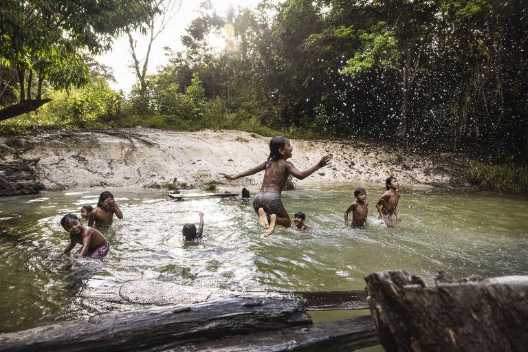 Subnotificação Oculta Realidade da Intoxicação por Mercúrio entre Indígenas da Amazônia - Imagem do artigo original