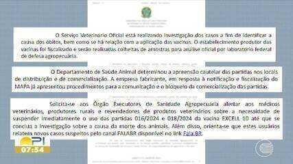 Ministério da Agricultura Investiga 612 Mortes de Animais Após Uso de Vacina Contra Clostridiose - Imagem do artigo original