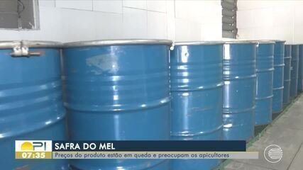 Crise na Exportação de Mel do Brasil Atinge Produtores - Imagem do artigo original
