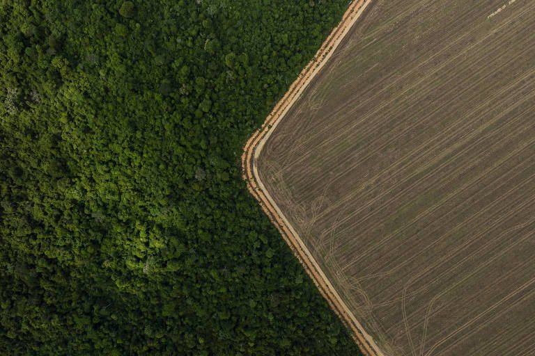 Malha Fina ITR: Receita e Incra Intensificam Fiscalização Rural - Imagem do artigo original