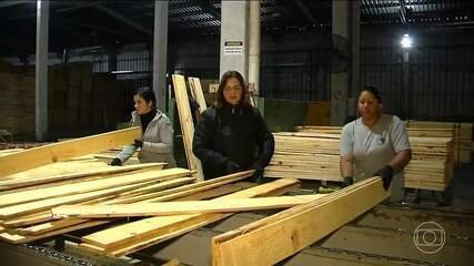 Tarifa dos EUA Abala Exportação de Madeira do RS - Imagem do artigo original