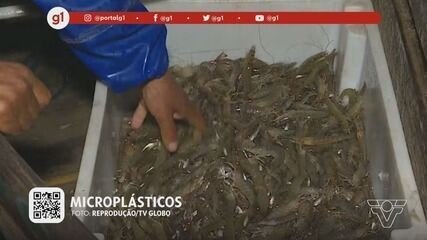 Microplástico em Caranguejos de Manguezal Surpreende Pesquisadores - Imagem do artigo original