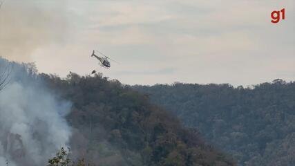 Incêndio em Timburi: Chamas controladas após uma semana - Imagem do artigo original