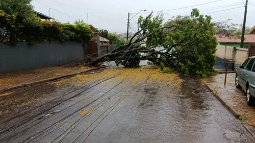 Mais de 200 Mil Domicílios sem Energia no PR, Diz Copel - Imagem do artigo original