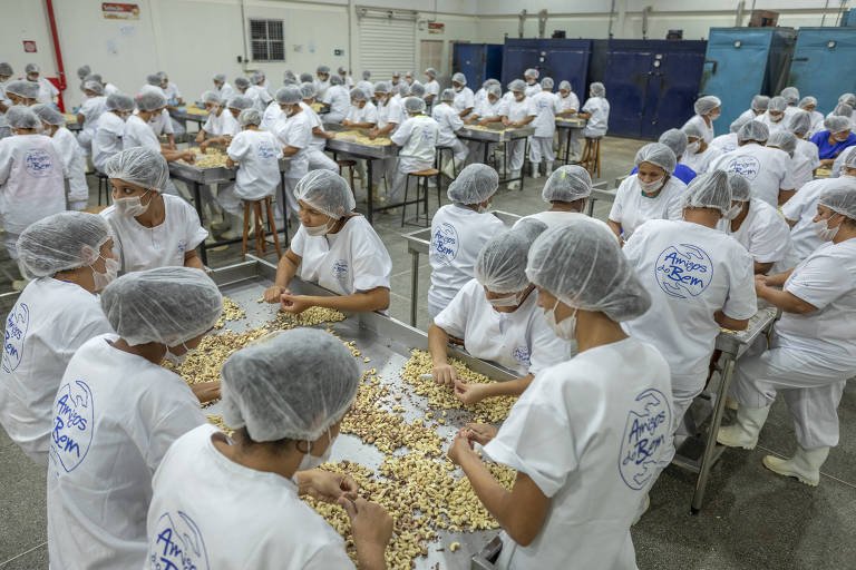 Forças Armadas Compram Agricultura Familiar para Frear Tarifaço - Imagem do artigo original