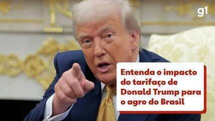 Rio+Agro 2025: Futuro do Agronegócio Sustentável no Rio - Imagem do artigo original