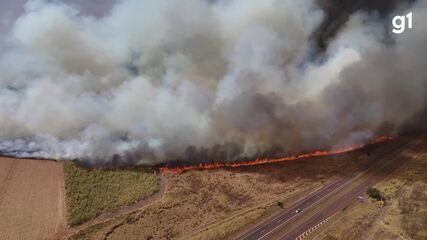 Redução de Incêndios em SP Atinge 86% Graças a Novas Estratégias - Imagem do artigo original