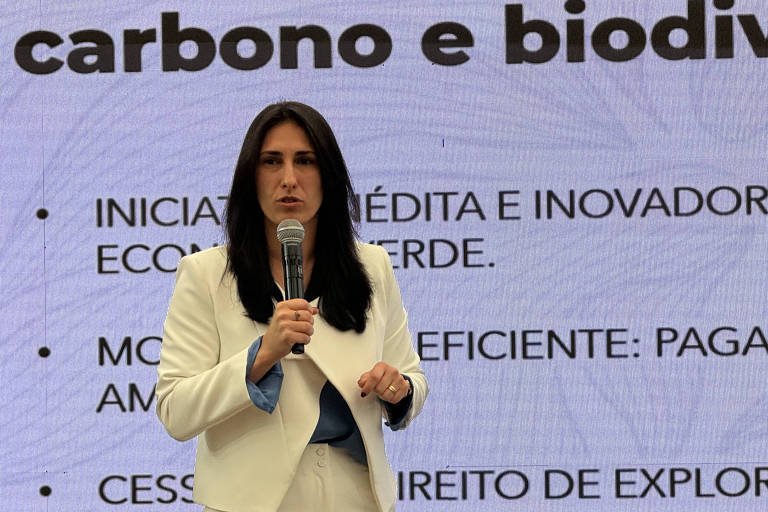 Governo SP lança programa de créditos de carbono em UCs - Imagem do artigo original