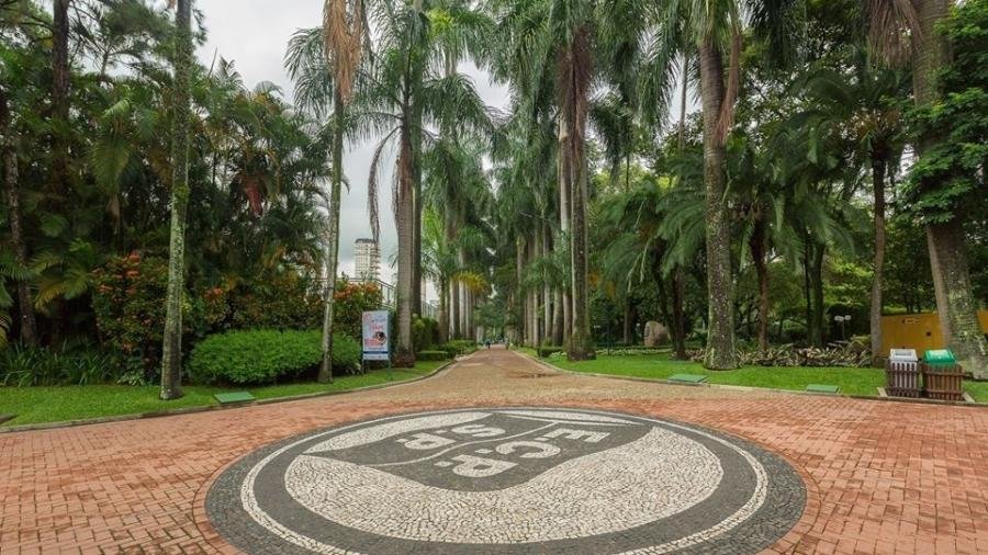 Clubes de elite de SP suspendem vendas por casos de metanol - Imagem do artigo original