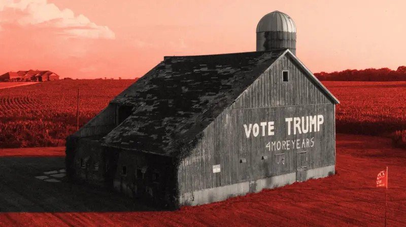 Tarifas de Trump: Impacto no Agronegócio e Apoio Rural - Imagem do artigo