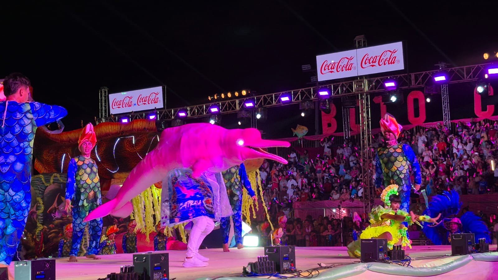 Boto Cor de Rosa Brilha no Festival Sairé 2025 - Imagem do artigo