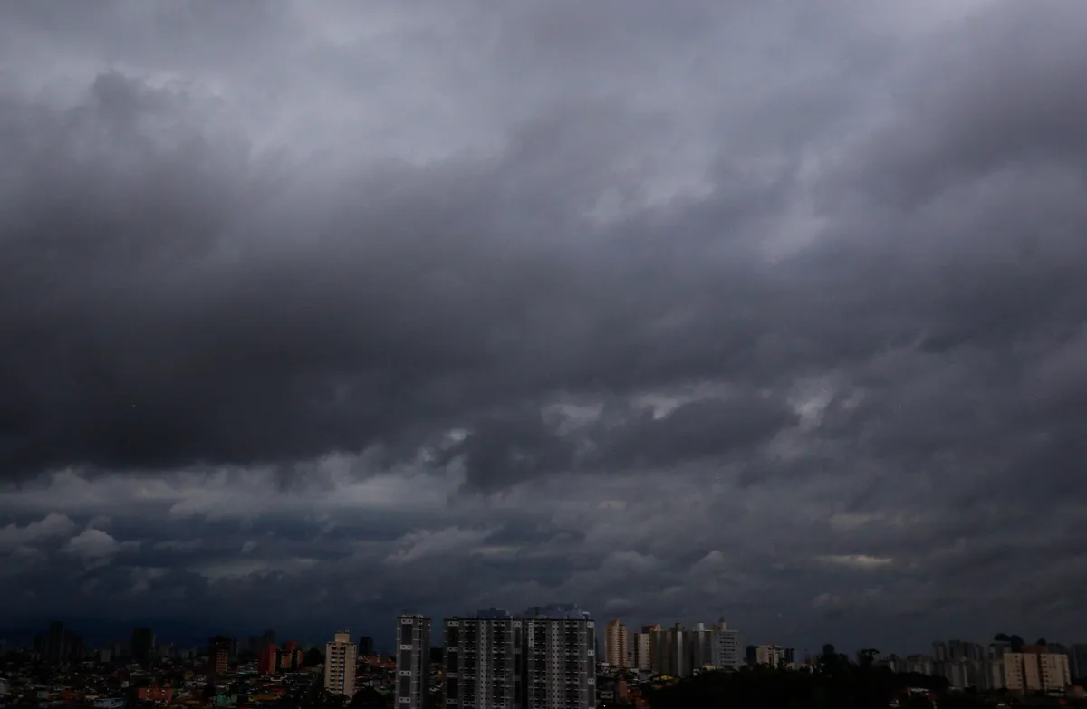 Chuvas Intensas: São Paulo Enfrenta Queda de Árvores e Falta de Energia - Imagem do artigo