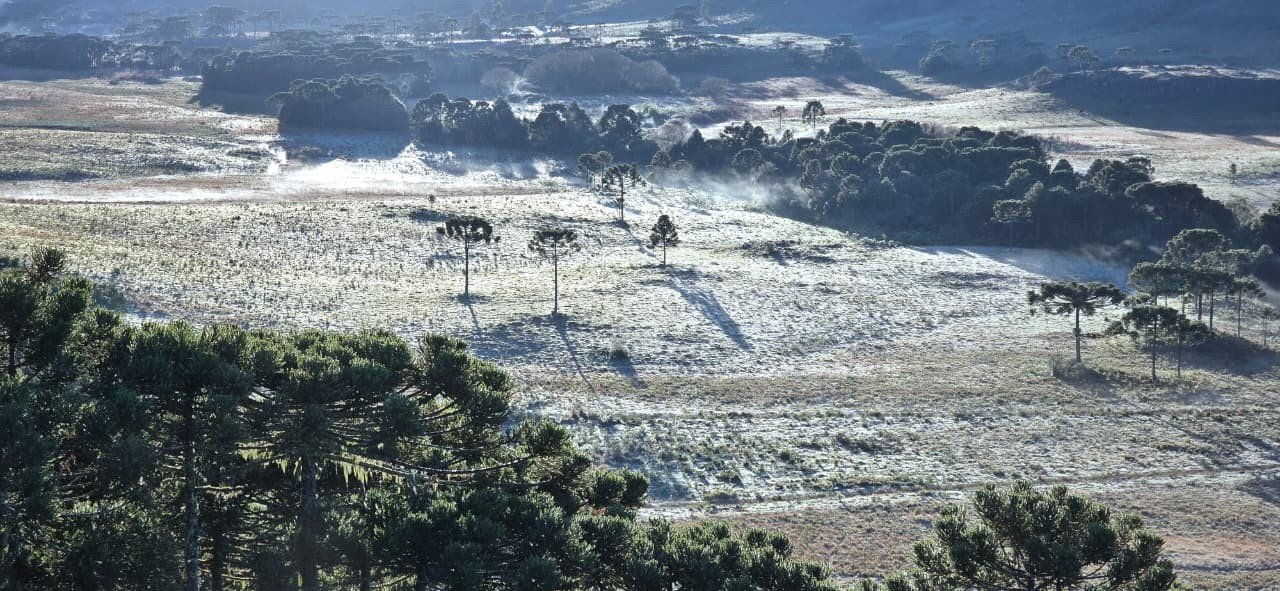 Geada na Serra Catarinense marca início da primavera 2025 - Imagem do artigo