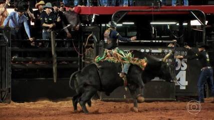 Globo Lança Série ‘Vida de Rodeio’ sobre Montaria em Touro - Imagem do artigo original