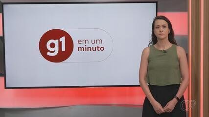 Presidente Prudente: Baixa Adesão à Vacina da Dengue em Meio a Surtos - Imagem do artigo original