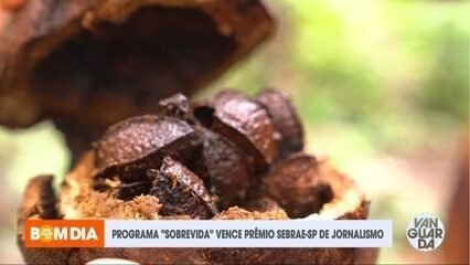 Cemaden Anuncia 22ª Semana Nacional de Ciência e Tecnologia - Imagem do artigo original