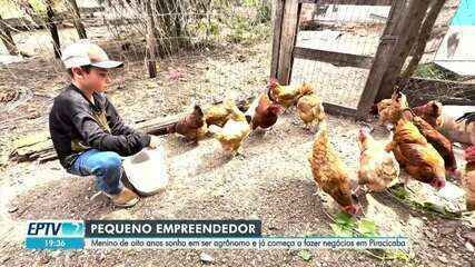 Empreendedor mirim de 8 anos: de Piracicaba à Esalq no agro - Imagem do artigo original