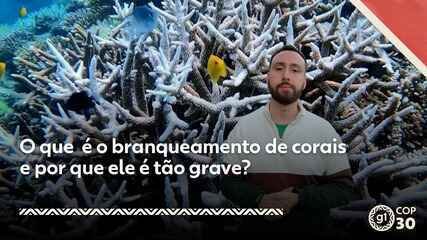Recifes de Corais: Ponto de Não Retorno Atingido, Alerta Estudo - Imagem do artigo original