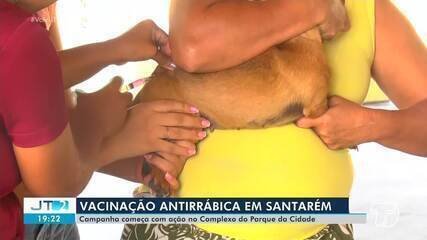 Vacinação Antirrábica Santarém: Rotas Detalhadas em Bairros - Imagem do artigo original