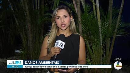 Justiça condena carvoaria do Pará por fraude de R$ 127 mi - Imagem do artigo original