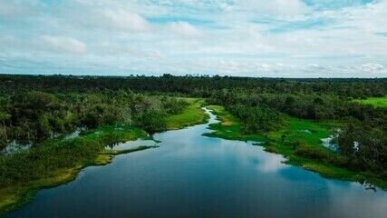 Governo Facilita Licença Ambiental Especial Após Ameaças do Congresso - Imagem do artigo original