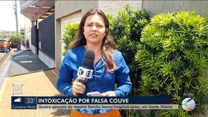Intoxicação por Falsa Couve: Famílias Hospitalizadas em Minas Gerais - Imagem do artigo original