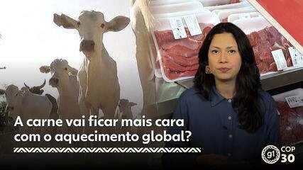 Japão enfrenta clima extremo com verão recorde em 2025 - Imagem do artigo original