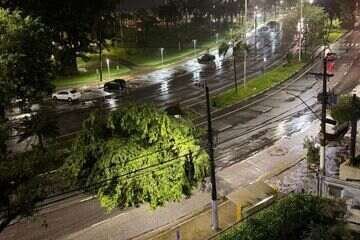 Ventos Litoral SP: Rajadas de 99 km/h Causam Estragos - Imagem do artigo original