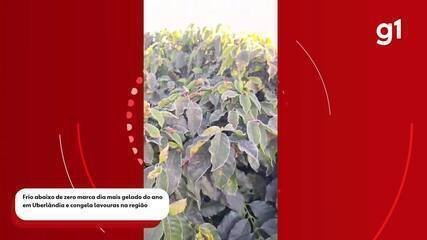 Onda de Frio no Triângulo Mineiro: Sacramento Registra 10,8°C - Imagem do artigo original