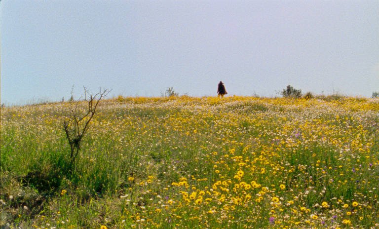 Documentário ‘As Estações’ une Achados e Lendas de Portugal - Imagem do artigo original