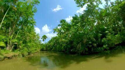 Açaí Kaingó: Franquia Paraense Alcança Reconhecimento Nacional - Imagem do artigo original