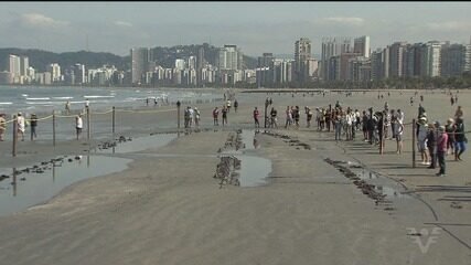 “Navio Fantasma” em Santos: Kestrel Visível na Maré Baixa - Imagem do artigo original