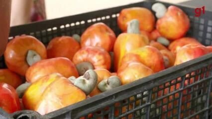 SPS Abre 540 Vagas em Cursos Gratuitos para Fortaleza e Barbalha - Imagem do artigo original