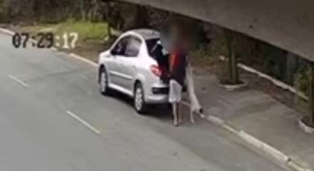 Polícia arquiva caso de abandono de cães em Praia Grande - Imagem do artigo original