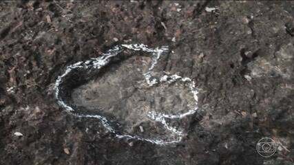 Descoberta de Mais de 100 Pegadas de Dinossauros em Roraima - Imagem do artigo original