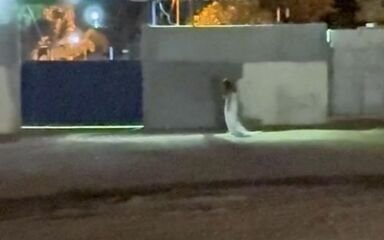 Edital de Concurso na Alego Publicado com Salários de até R$ 10 Mil - Imagem do artigo original