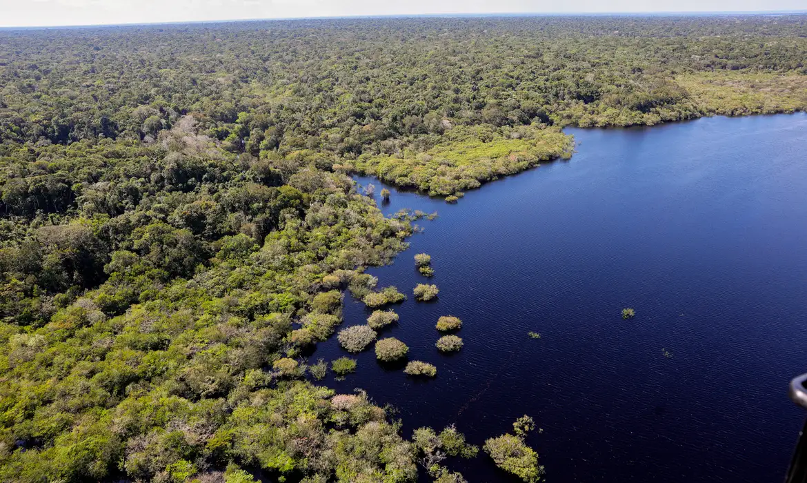 Desmatamento Amazônia e Cerrado Tem Queda de 11% - Imagem do artigo original