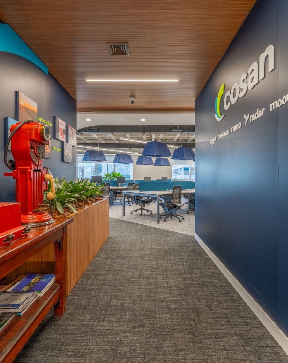 Cade aprova subscrição de ações da Cosan por BTG e Perfin - Imagem do artigo original