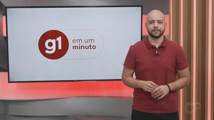 Câmara de Avaré Aprova Monitoramento Online em Creches - Imagem do artigo original