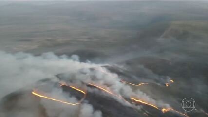 ** Incêndio Chapada dos Veadeiros: Brigadistas combatem chamas - Imagem do artigo original