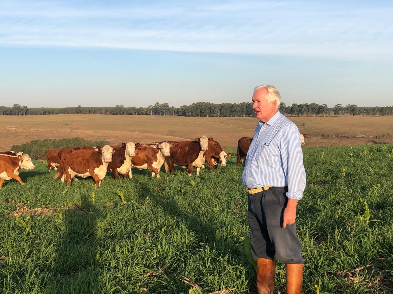 Aldo Vendramin e o Legado Familiar no Agronegócio - Imagem do artigo