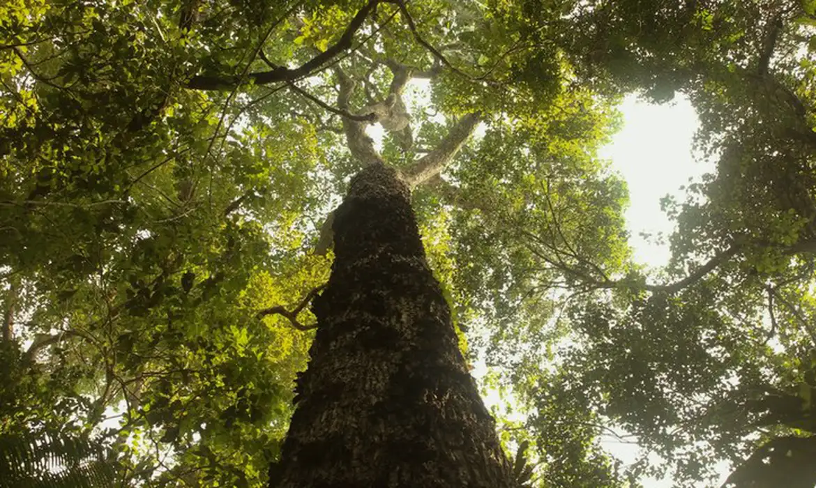 Parques do Brasil: TV Brasil Lança Nova Temporada Documental - Imagem do artigo original