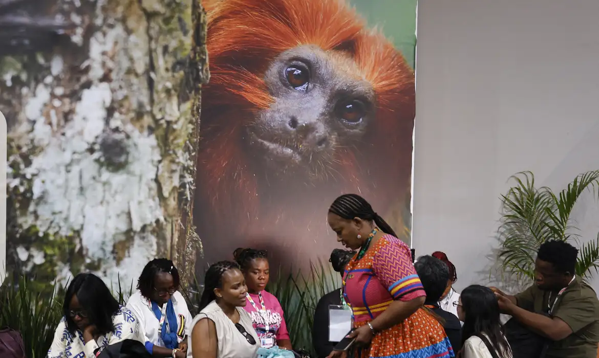 COP30: Financiamento, Transição e Adaptação Marcam Negociações em Belém - Imagem do artigo original