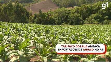 Tarifa EUA Tabaco RS: Ameaça à Colheita e Exportação - Imagem do artigo original
