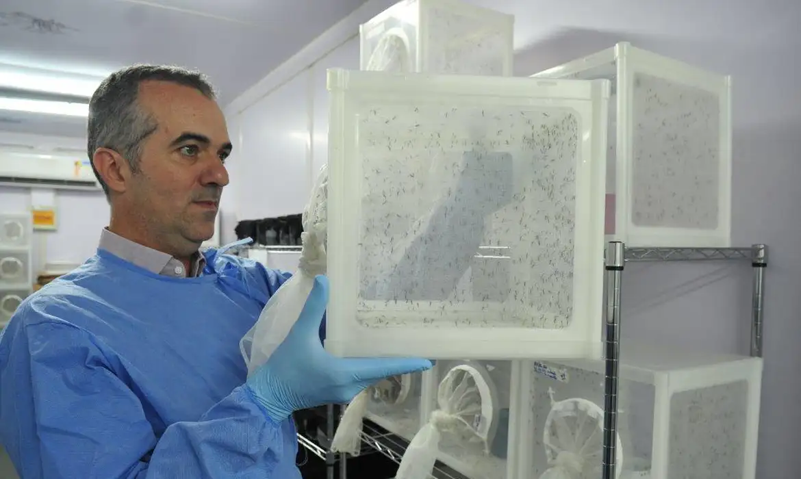 Brasileiro Luciano Moreira Reconhecido pela Nature por Aedes - Imagem do artigo original