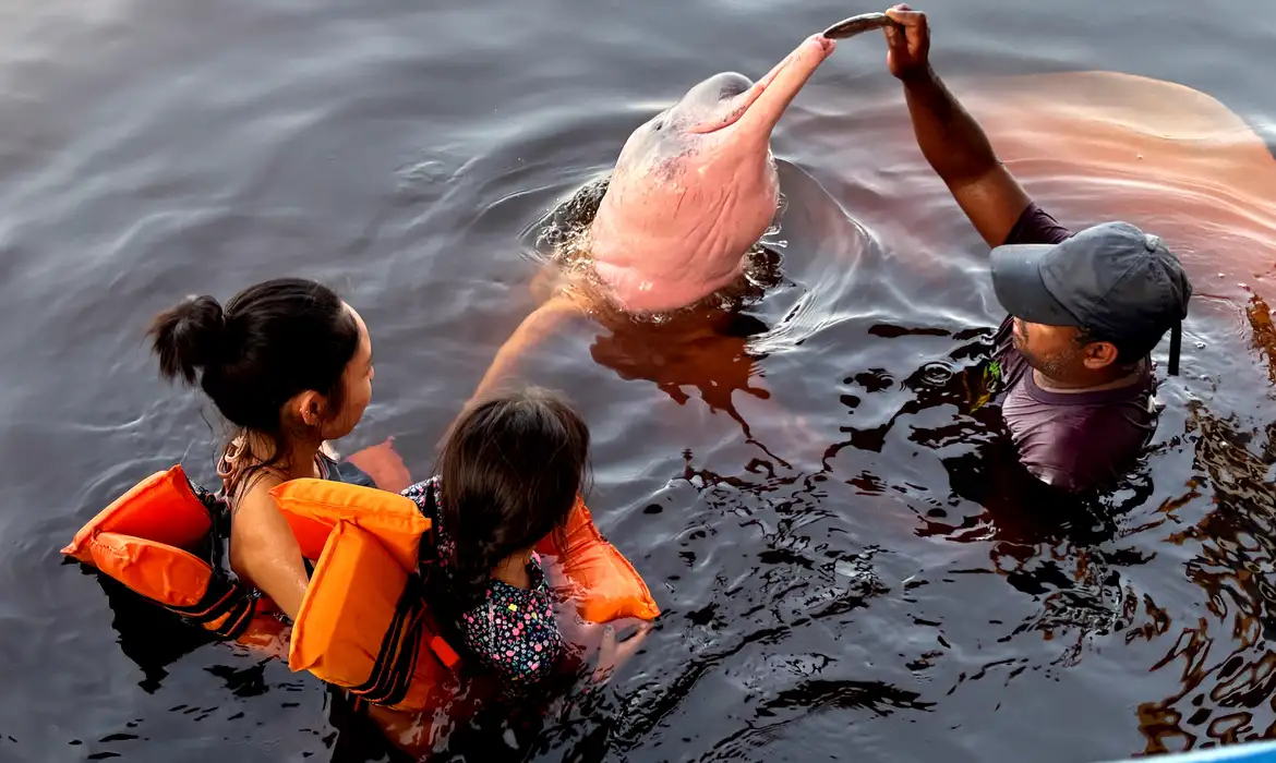 Insegurança Impede 62% de Mulheres de Viajar Sozinhas - Imagem do artigo original