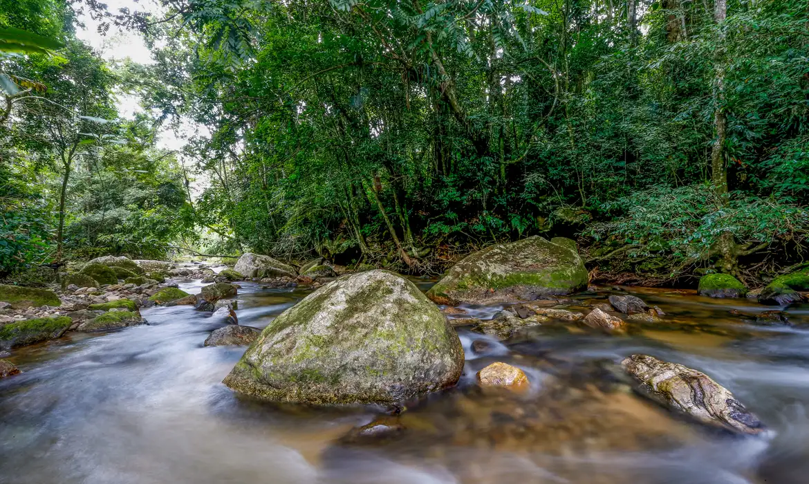 MMA Lança Plano Sisnama 2036: Fortalecimento Ambiental - Imagem do artigo original