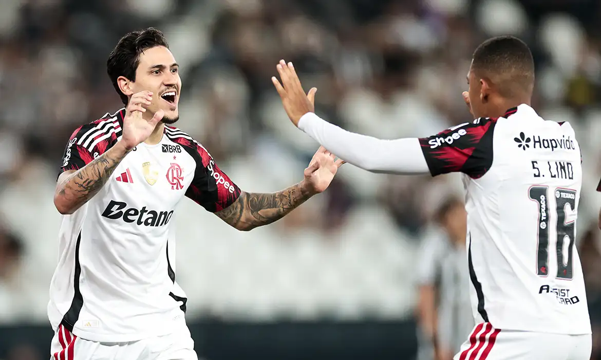 Flamengo vence Botafogo e mantém rival na Z-4 do Brasileirão - Imagem do artigo original